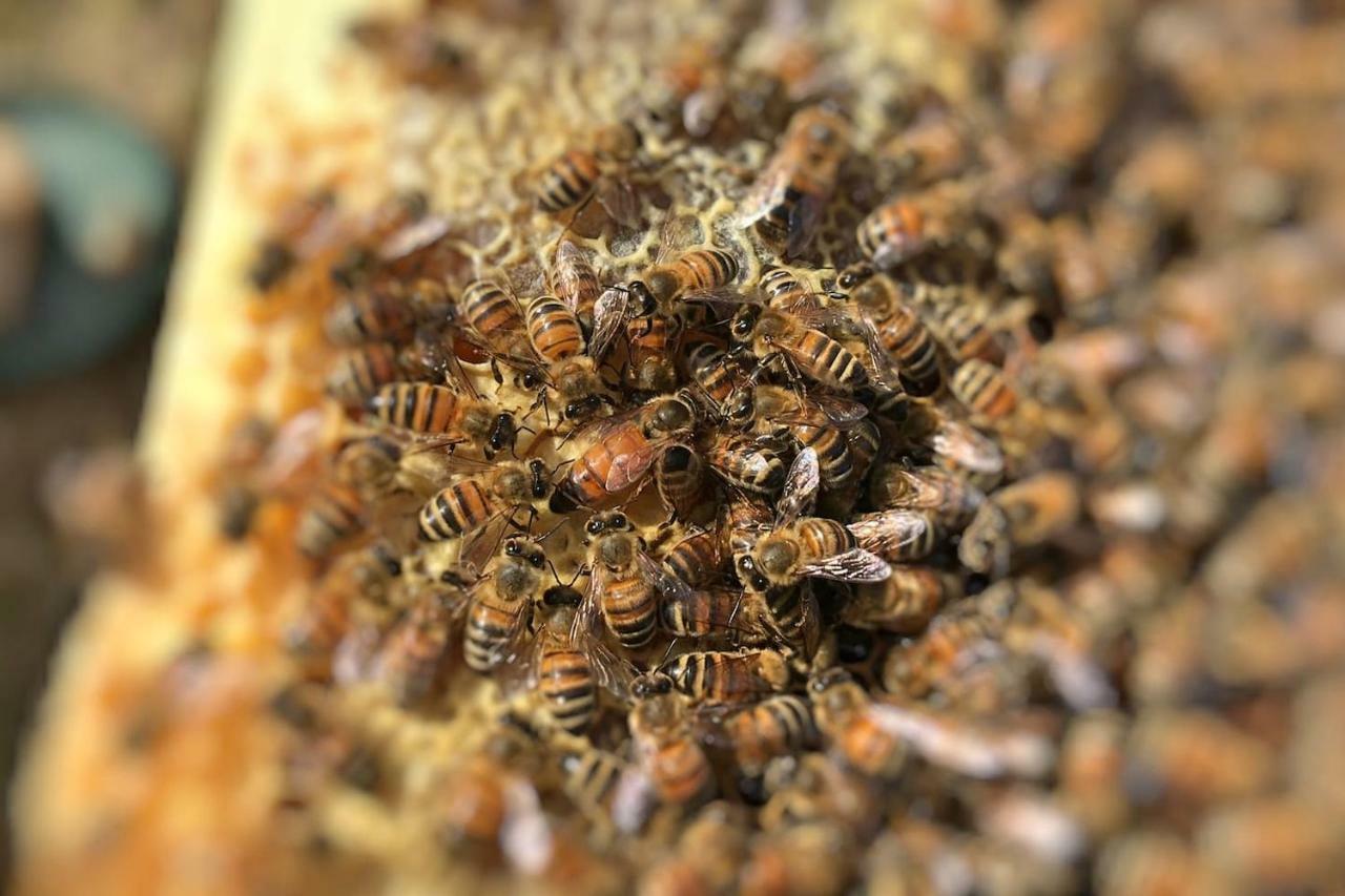 The Hive Stefy'S Apartment Иглесиас Екстериор снимка
